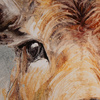 Looking On Framed Canvas 850x40x850mm