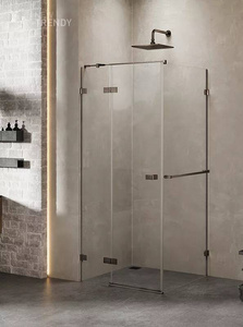 KABINA AVEXA GUNMETAL BRUSHED PROSTOKĄTNA L 110x100x200 CZYSTE 6mm ACTIVE SHIELD