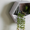Wall Planter with Agave Succulent mix H380mm