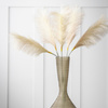 Goma Soft Feather Stem Blush (5 szt.) 720 mm