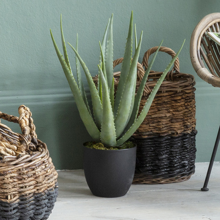 Faux Aloe 600mm