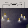 TRAKER 6 BL/GOLD
