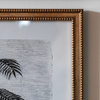 Colonial Sketches Framed Art Set of 2