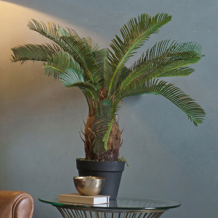 Faux Cycad 620mm