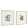 Rural Studies I Framed Art Set of 2
