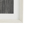 Animal Antics I Framed Art Set of 2
