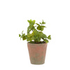 Potted Mint Terracotta 180x180x230mm