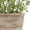 Potted Rustic Lilac Lavendar 280x280x300mm