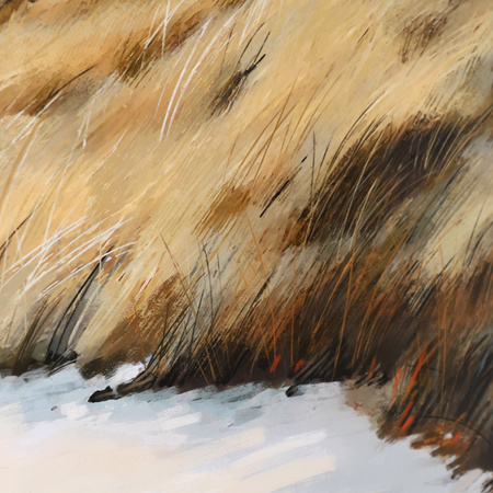 Homeward Bound Framed Art 600x28x750mm