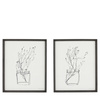 Delicate Nature Framed Art Set of 2
