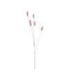 Wheat Spray Blush (6pk) H680mm