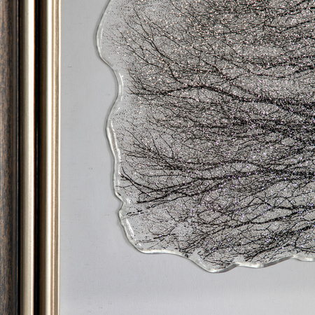 Silent Beauty Framed Art 820x38x820mm