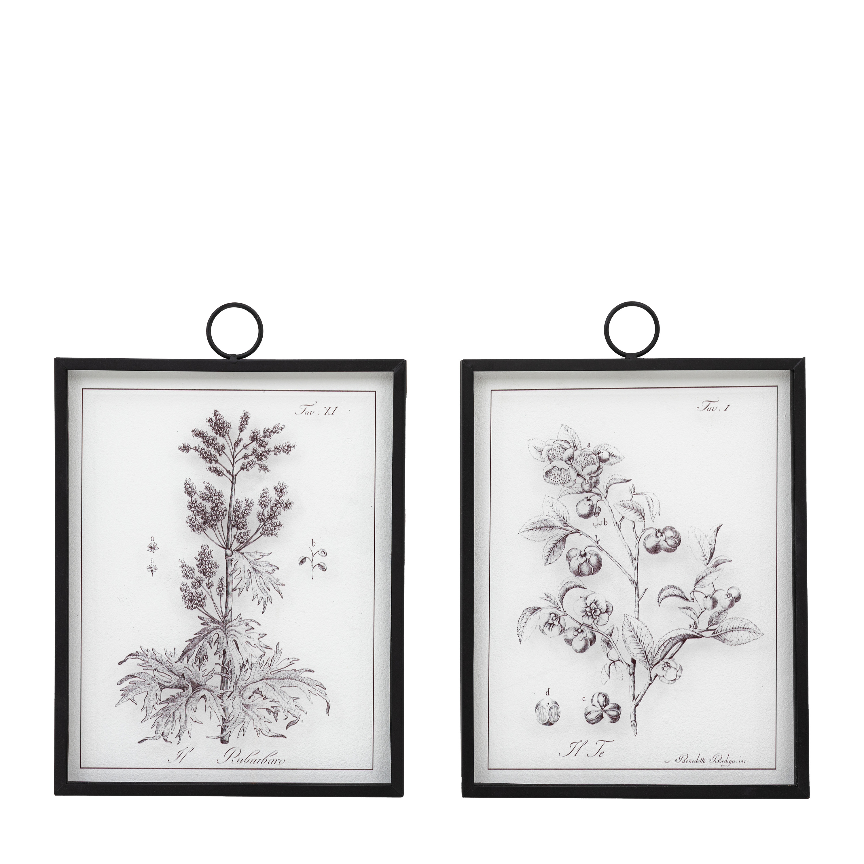 Obraz w ramie „Petiole” – czarny, 22 × 1,1 × 27 cm, zestaw 2 szt.