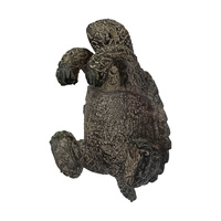 Winston Wieszak na doniczkę Żółw Naturalny (2 szt.)