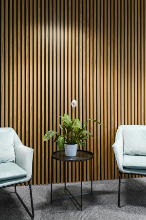 Fotel FLUENCE – tapicerka welurowa, kolor szary