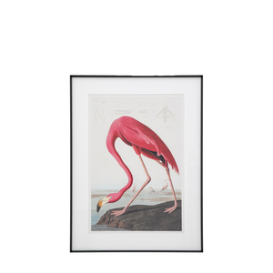 Wading Flamingo Framed Art 600x900mm