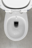 SENTIMENTI CLEANWASH WC wiszące, z dyszą bidetową i zaworem, Rimless, 36x51cm, biały