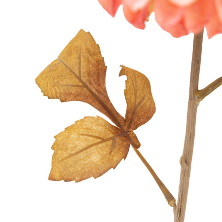 Faux Stem Dahlia Apricot 730mm (6pk)