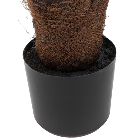 Potted King Kentia Palm Tree 5ft