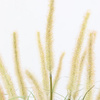 Potted Grass with Cattail Seed Heads 570mm