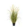 Potted Grass with Cattail Seed Heads 810mm