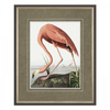 Vintage Flamingo Small Framed Art 540x30x440mm