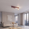 BASTER 4 BURGUNDY TRANSPARENT