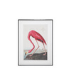 Wading Flamingo Framed Art 600x900mm