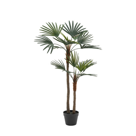 Potted Statement Palm 1170mm