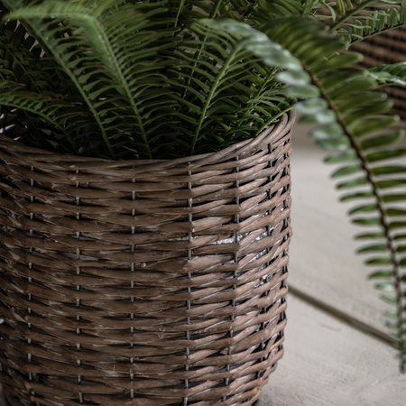 Potted Fern Plant 980mm