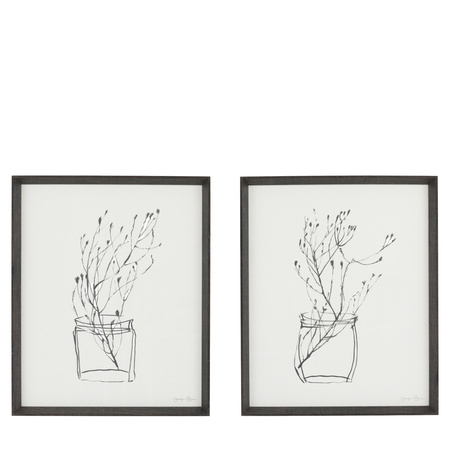 Delicate Nature Framed Art Set of 2