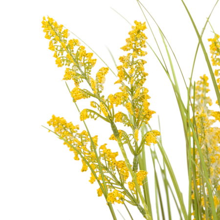 Potted Grass with Yellow Wildflower