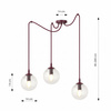 GIGI 3 BURGUNDY TRANSPARENT