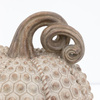 Resin Pumpkin Natural 240mm