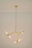 MOOSEE lampa wisząca CANDELABR 6 złota