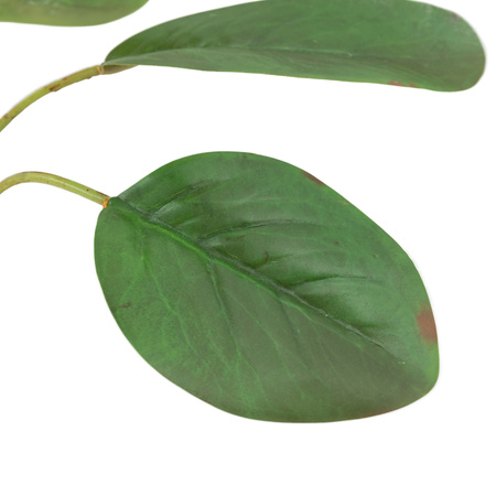 Faux Stem Statement Tropical Ivory 470mm (12pk)