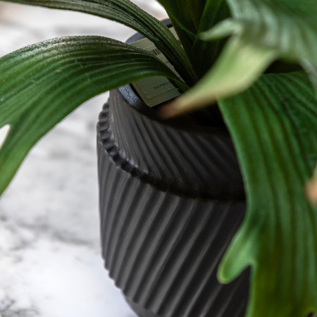 Faux Playycerium Multi Colour in Ceramic Pot