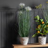 Potted Grass w/4 Heads White 850mm