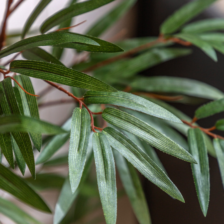 Potted Bamboo Tree 4ft