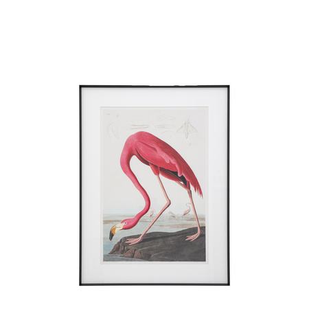 Wading Flamingo Framed Art 600x900mm