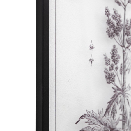 Petiole Framed Art Set of 2