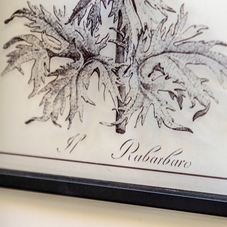 Petiole Framed Art Set of 2