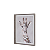 In the Wild I Framed Canvas 720x60x920mm
