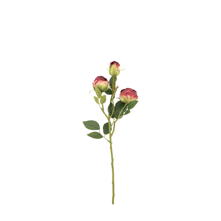 Faux Stem Vintage Rose Claret 540mm (6pk)