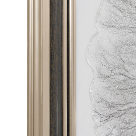 Silent Beauty Framed Art 820x38x820mm