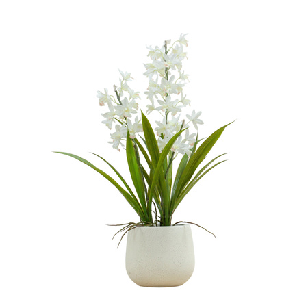 Potted Cymbidium Orchid (real touch) White H610mm