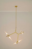 MOOSEE lampa wisząca CANDELABR 6 złota