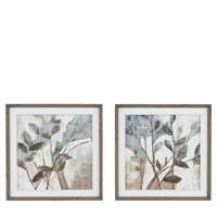 Foliage & Form Framed Canvas Set of 2