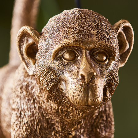 Capuchin 1 Table Lamp Gold
