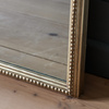 Florentine Leaner Mirror Champagne 750x42x1700mm